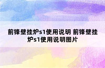 前锋壁挂炉s1使用说明 前锋壁挂炉s1使用说明图片